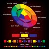 Mastering Color Psychology in Your Logo Design