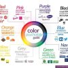 The Psychology of Color: How Logo Design Evokes Emotions